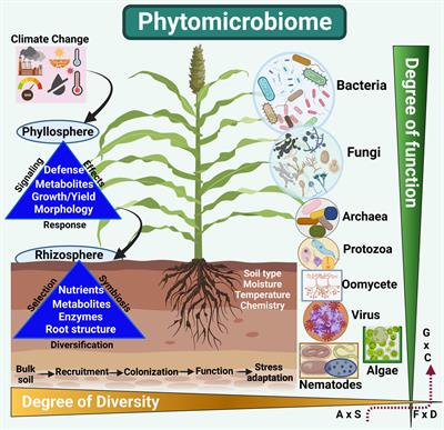 The phytomicrobiome: solving plant stress tolerance under climate change